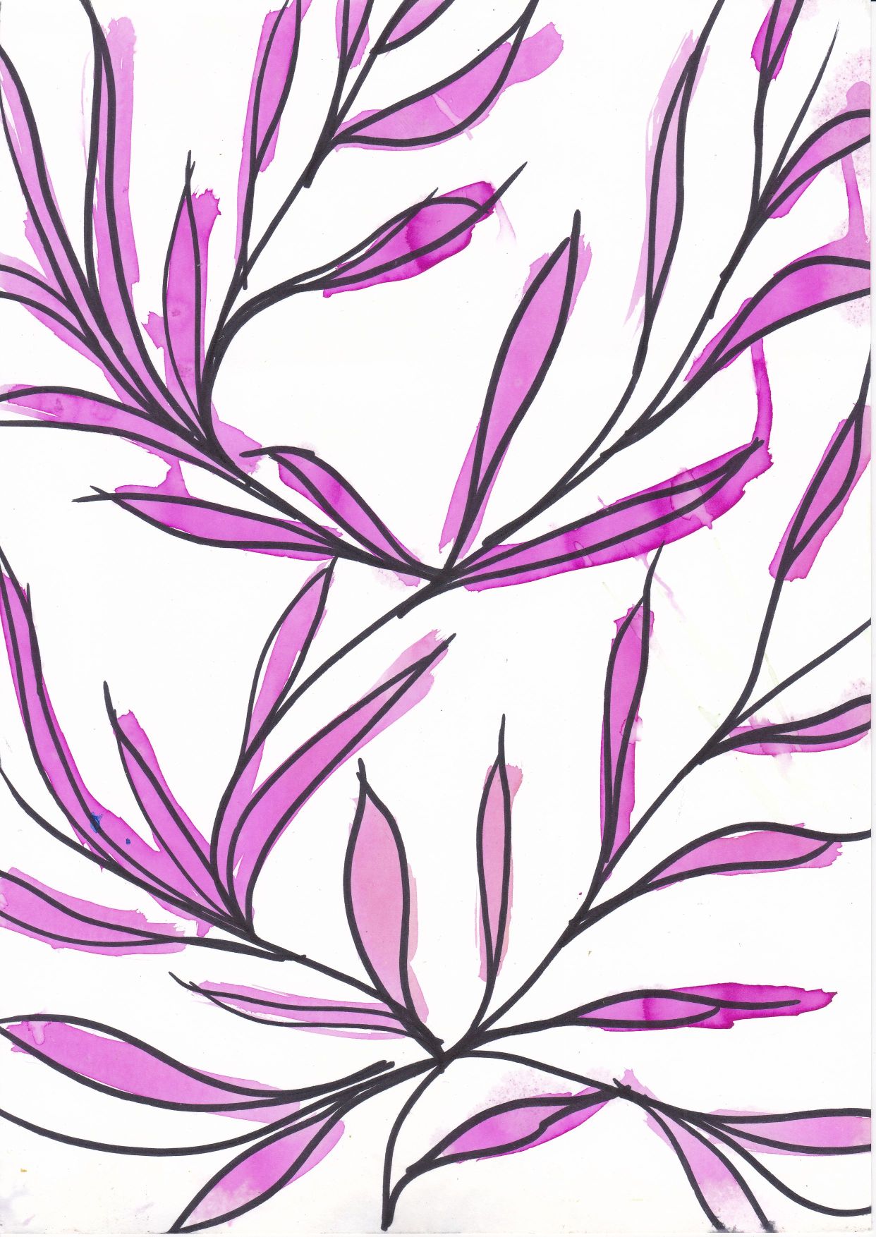 magnolie II