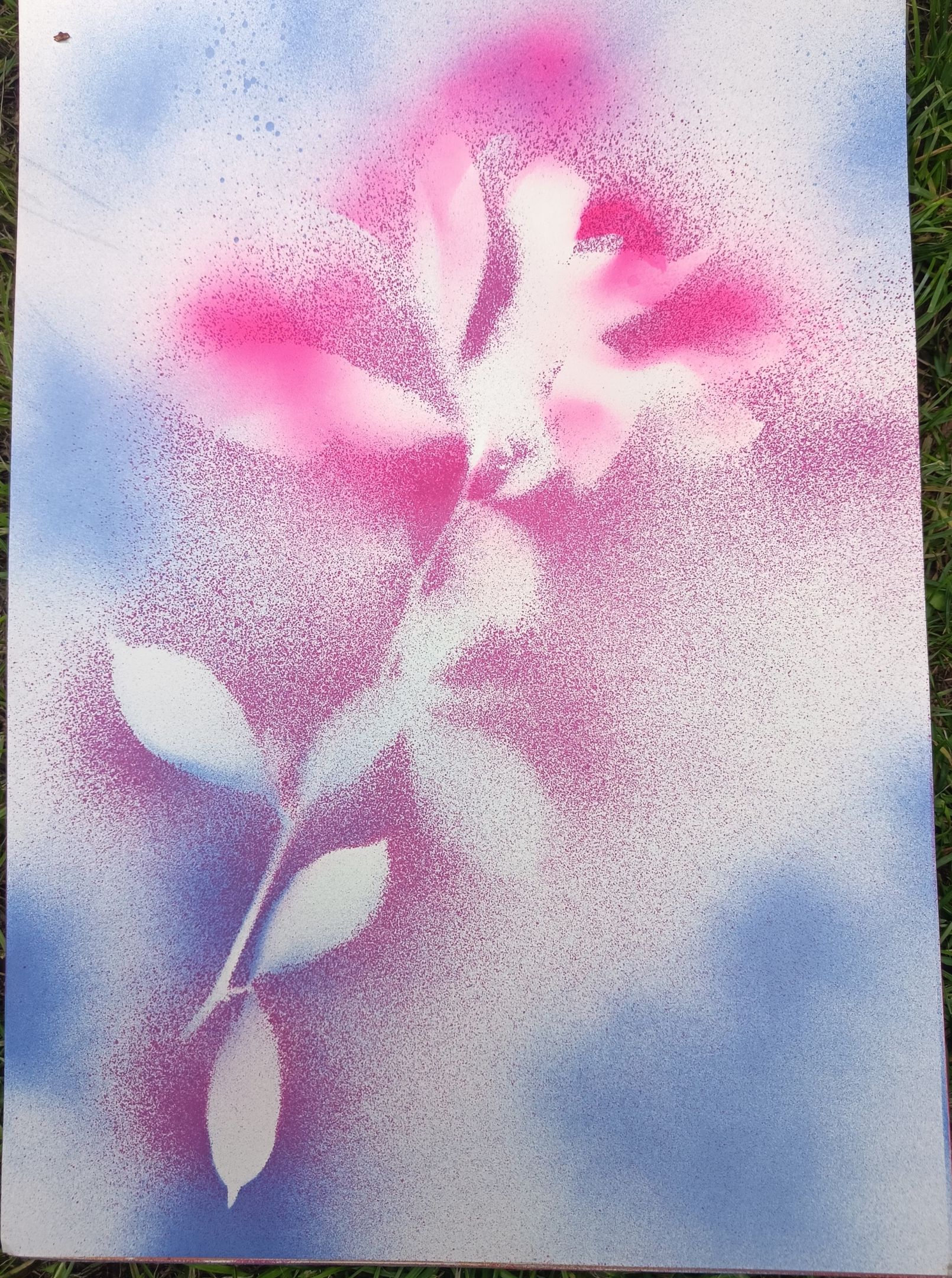 magnolie IV